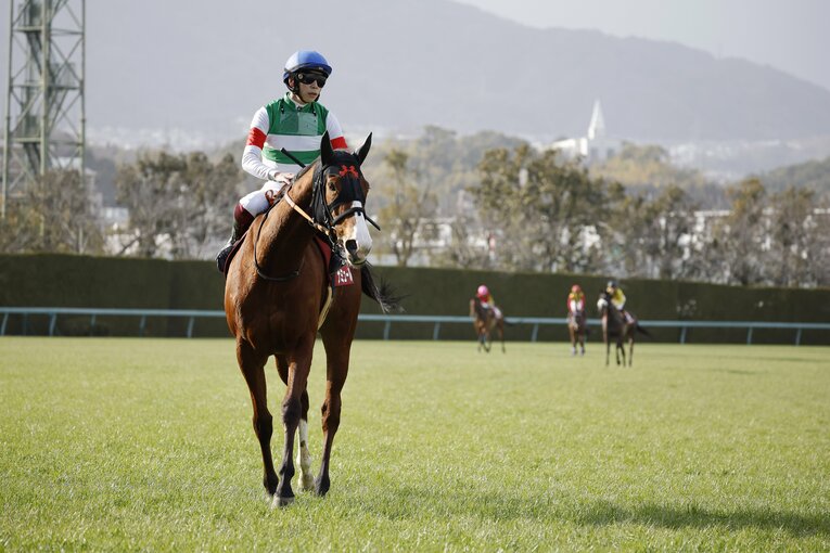 前走・チューリップ賞を制したナミュール。桜花賞でもコンビを組むのは若武者・横山武史だ　©Photostud