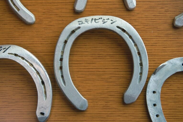 ユキノビジン、通常の銀の蹄鉄　©Wataru Sato