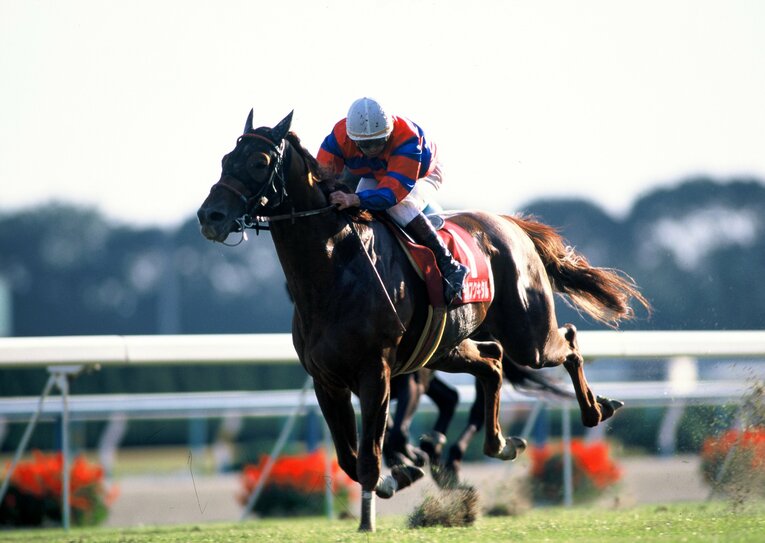 マチカネフクキタル　©Tomohiko Hayashi