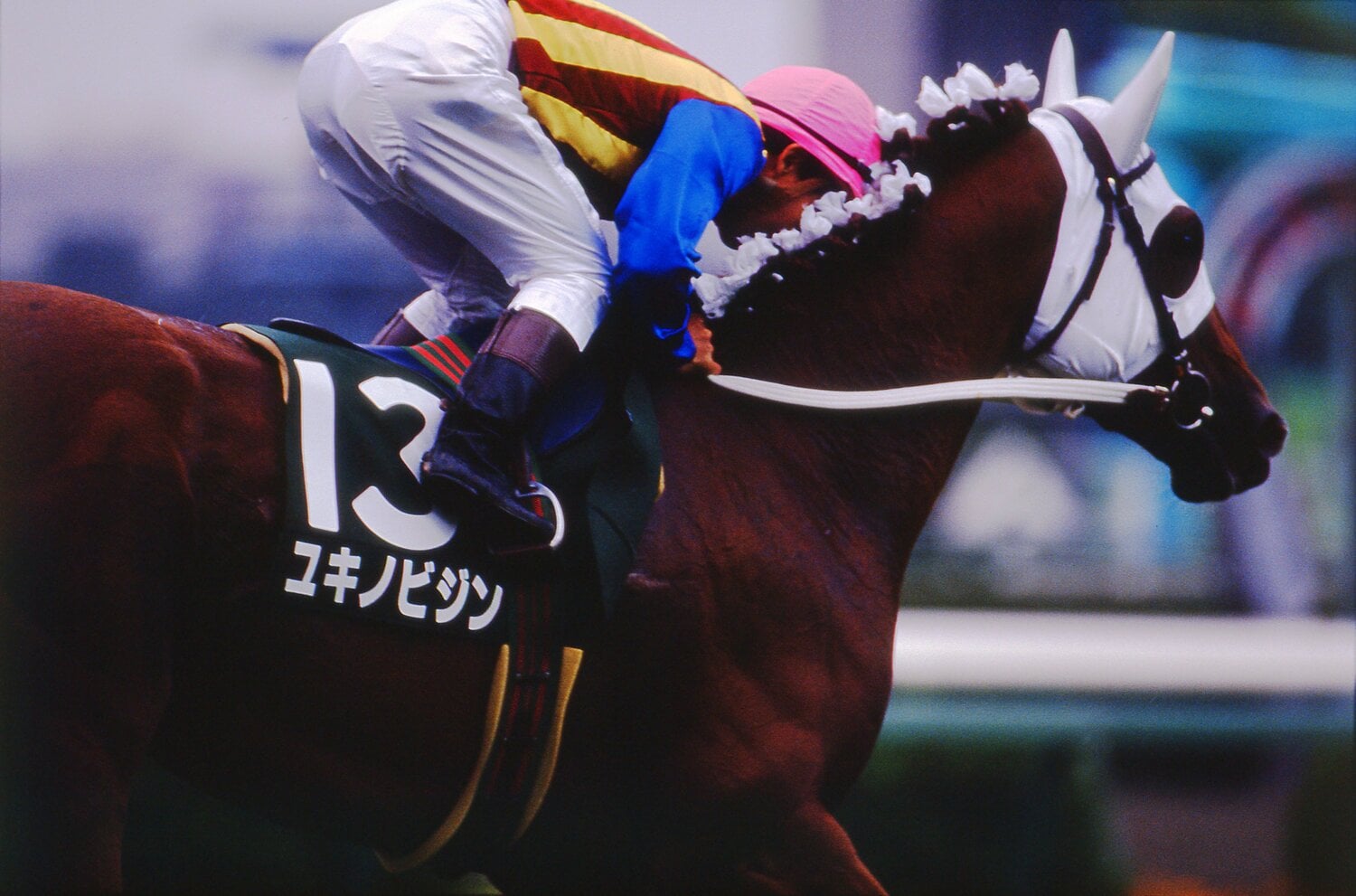 1993年クイーンSのユキノビジン ©Keiji Ishikawa