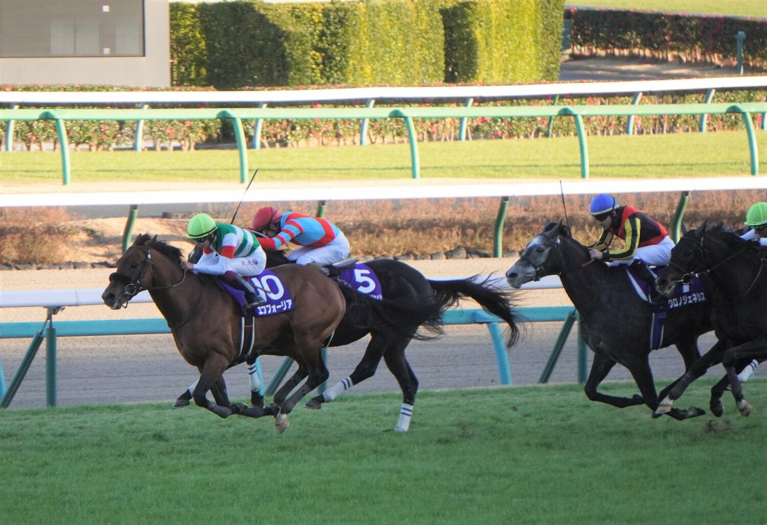 今回も1番人気が予想される昨年の年度代表馬エフフォーリア ©Satoshi Hiramatsu