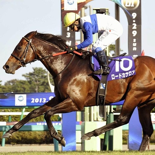 img_e4e57b8cc537841bac6ec180b0