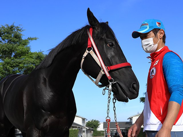 ダービーの中心はコントレイル不動。「運動神経が良い」は単純かつ強力