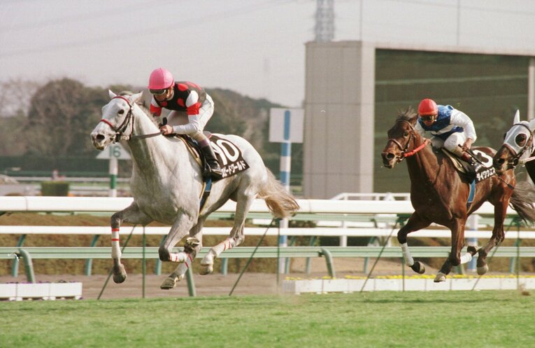 他馬より2キロ重い斤量を背負ってクロッカスSを快勝したスピードワールド。単勝オッズは1.1倍だった　©Sankei Shimbun
