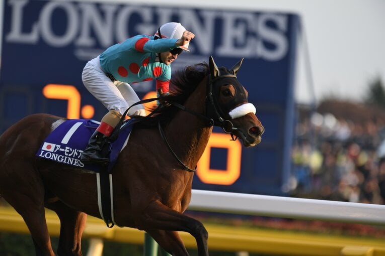 2018年のジャパンカップ　(C)Keiji Ishikawa