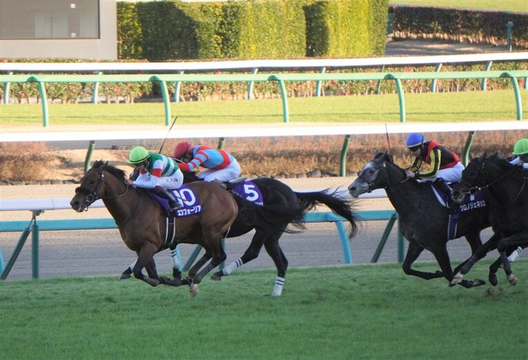 今回も1番人気が予想される昨年の年度代表馬エフフォーリア　©Satoshi Hiramatsu