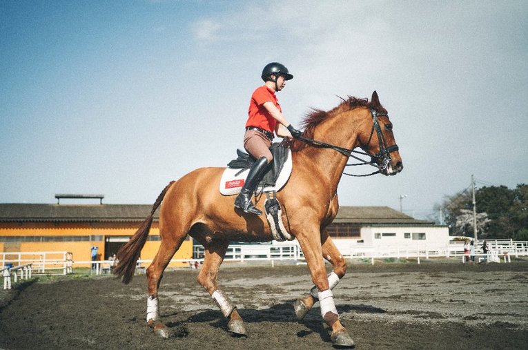 馬に乗っていると、まったく障がいを感じさせない高嶋選手。参加クラスの競技レベルは五輪なみだという ／ photograph by Yuki Suenaga