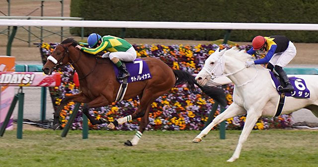 桜花賞に国枝師が送り出す、“ディープ似”と“ソダシと互角”の2頭は 