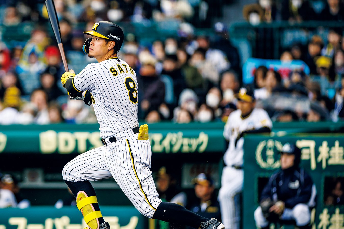 ©︎Kiichi Matsumoto