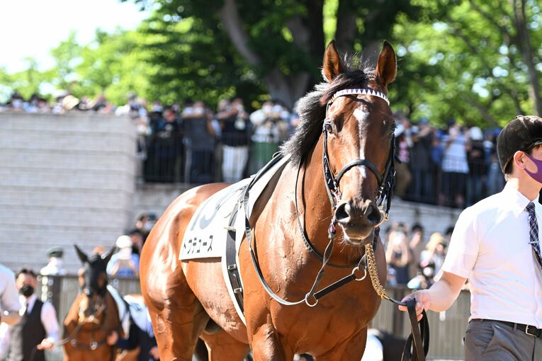 武豊「ディープインパクトはダートでも強かったと思う」ディープにダイワスカーレット、2頭の名馬が“走らなかった”幻のフェブラリーS計画(62)