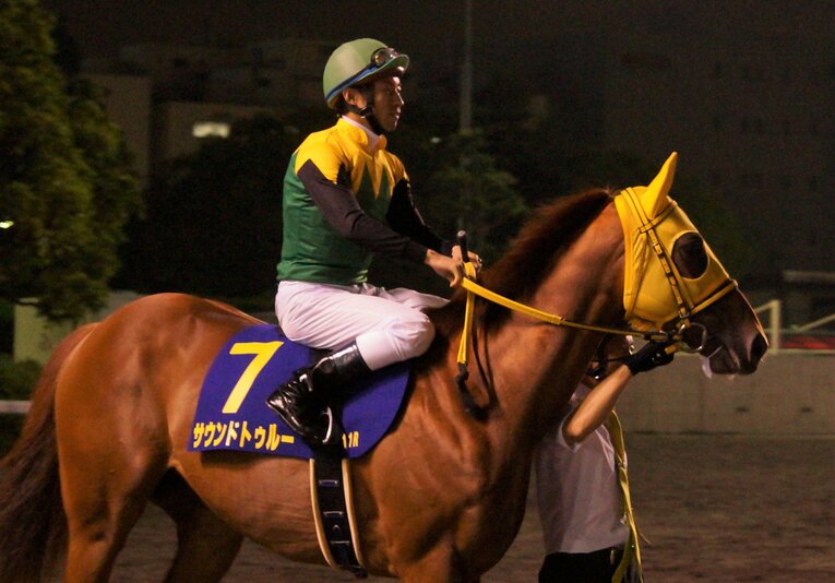 サウンドトゥルーと大野