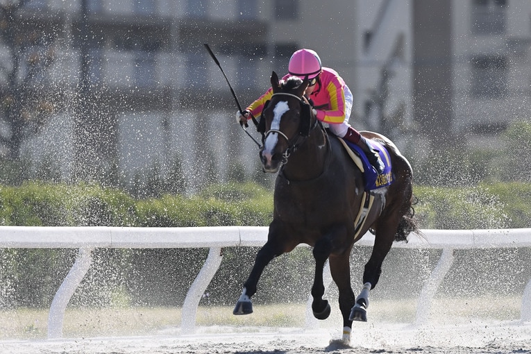 雑誌『Number』の1週間密着企画にて　©Keiji Ishikawa