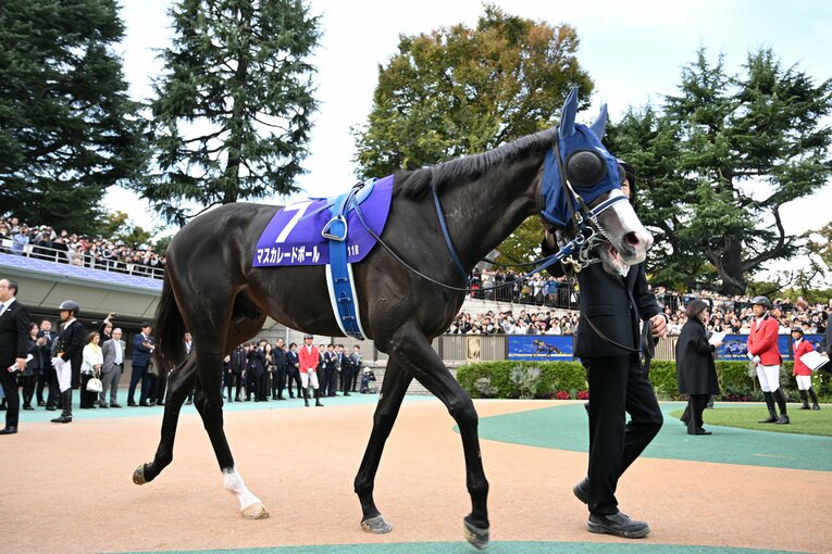 マスカレードボールのパドック　©Keiji Ishikawa