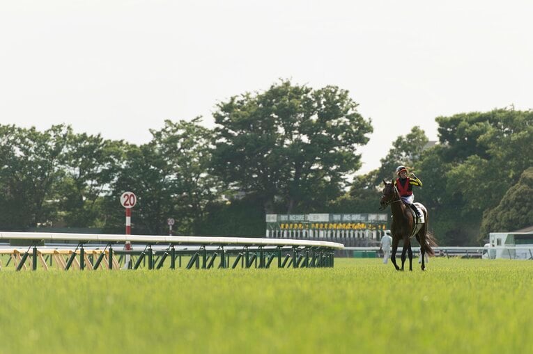 2015年ダービー、ドゥラメンテ　©Takuya Sugiyama