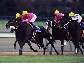 【華麗なる名牝】競馬ブック当日版：ヒシアマゾン/ノースフライト 94年（11部） 華麗なる名牝】競馬ブック当日版：ヒシアマゾン/ノースフライト 94年