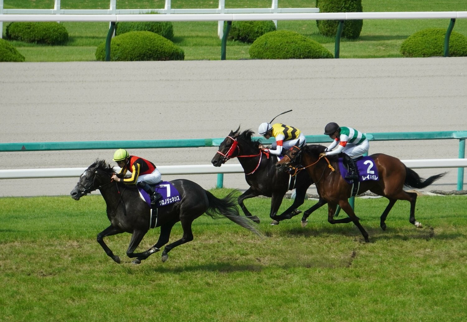 宝塚記念を制した際のクロノジェネシス　©Satoshi Hiramatsu