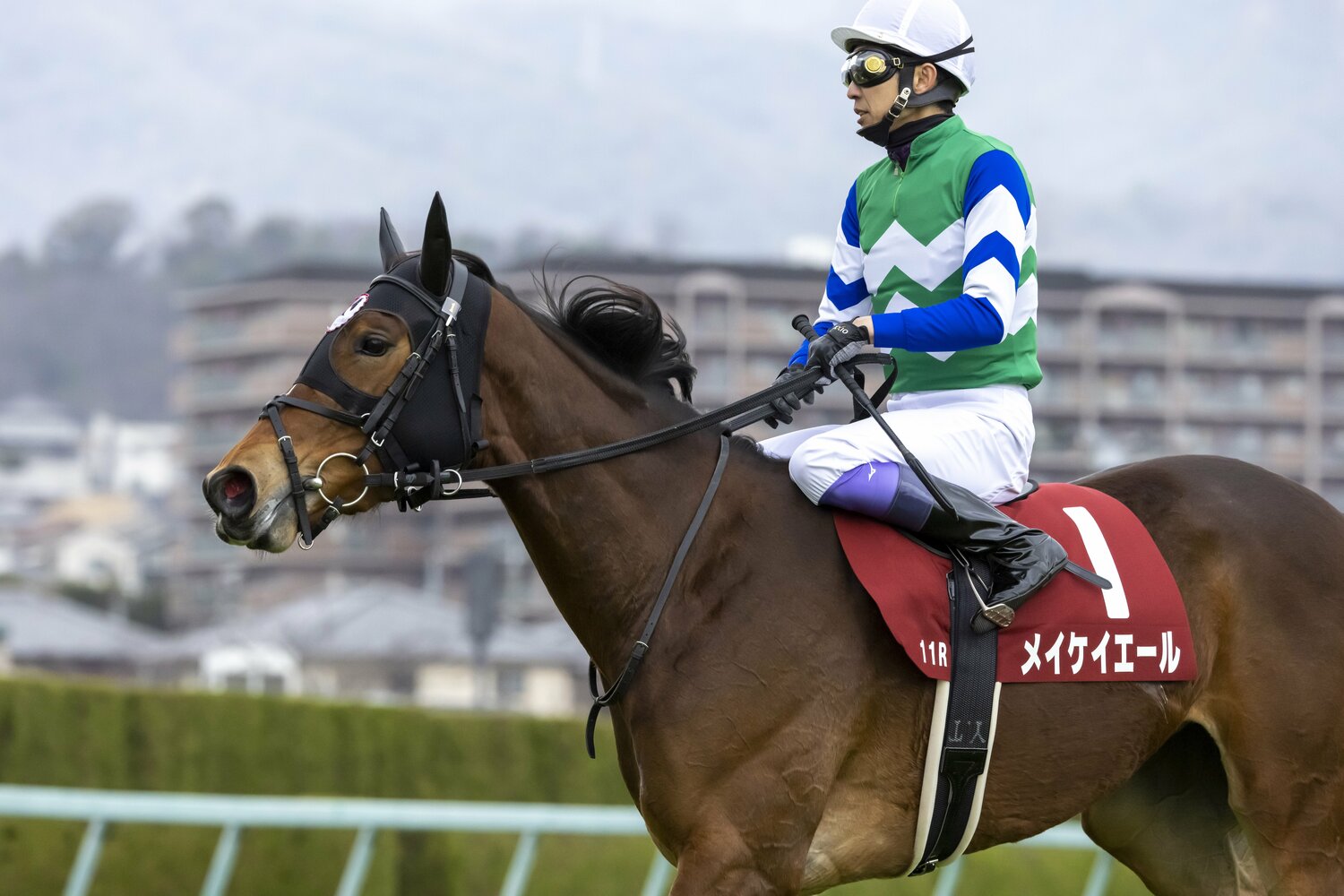 チューリップ賞勝利時のメイケイエール　©Photostud