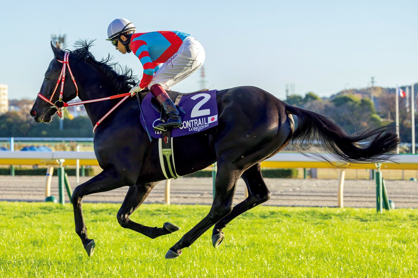 三代目　コントレイル　Contrail　'21年のジャパンカップで有終の美を飾るなど、鞍上の福永祐一と名コンビを組んだ。GI通算5勝　Photostud