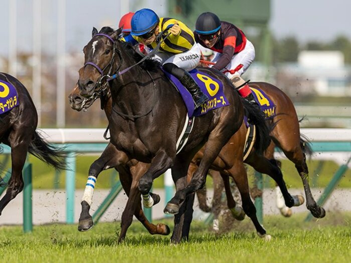 《オークス》ウォーターナビレラの「1番枠」は過去20年でまさかの…人気馬たちの“厳しいデータ”「桜花賞10着でもナミュールは…」＜Number Web＞ photograph by Photostud