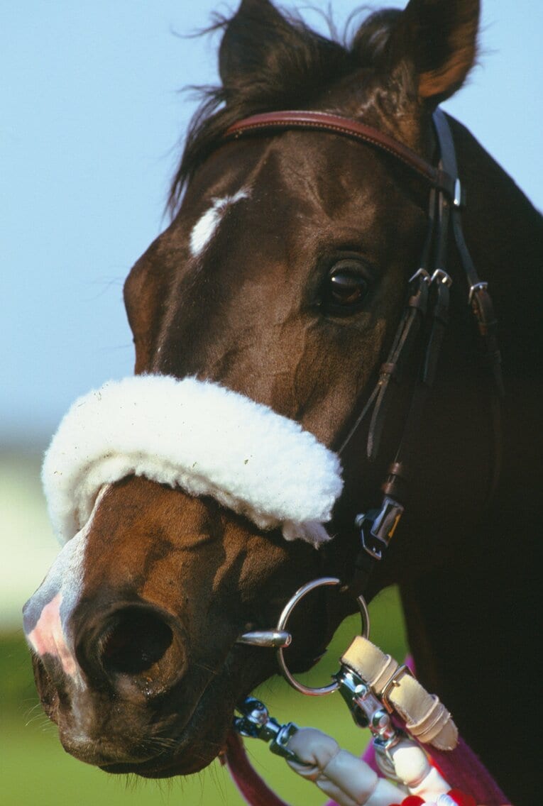 圧倒的な強さで三冠を制し“シャドーロールの怪物”と称されたナリタブライアンだが、95年は股関節炎の影響でコンディションを崩していた　©BUNGEISHUNJU