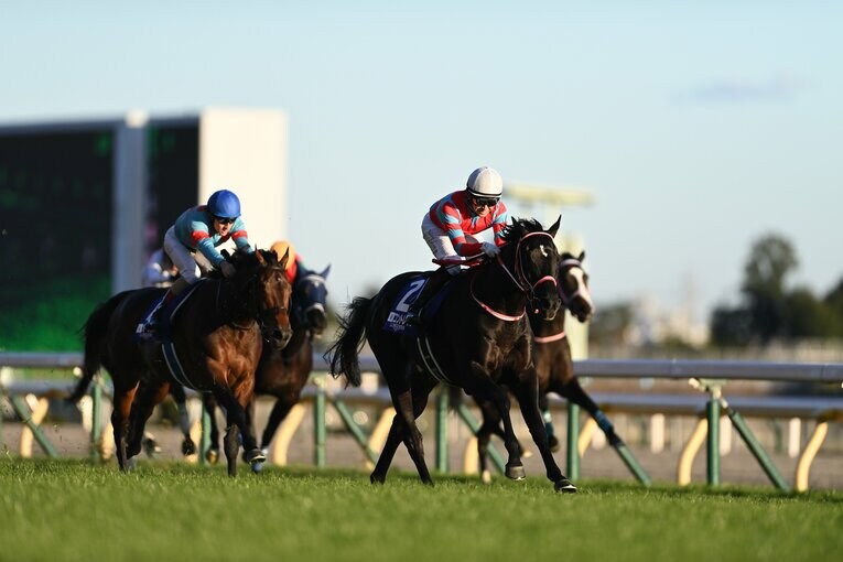 抜け出したオーソリティを一気にかわしてゴールに飛び込んだコントレイル