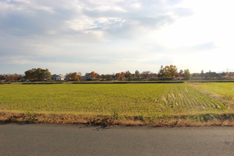 「俺らもプロに行けるかも…感覚がバグる」ドラフト“史上最多”6人指名の富士大ってどんな所？ 岩手の奥地「ポツンと一軒大学」を訪ねてみた！(84)