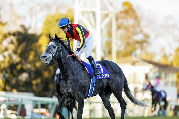 クロノジェネシスのラストラン　©Kiichi Matsumoto