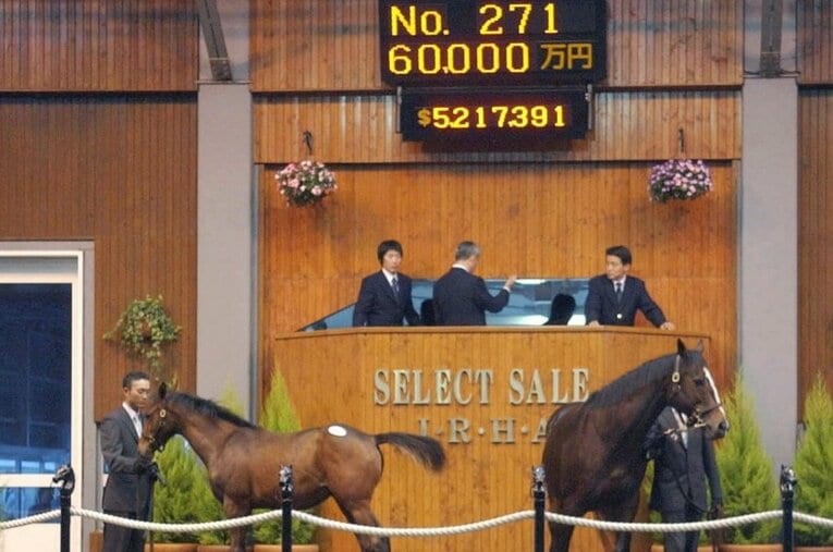 2016年のセレクトセールにて史上最高額の6億円で落札されたディナシー（左） ／ photograph by KYODO