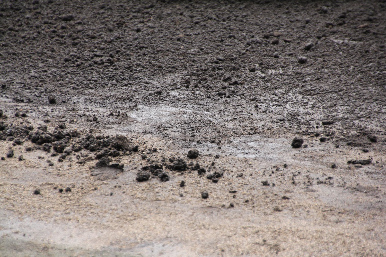 甲子園の土は絶妙なバランスで成り立っている