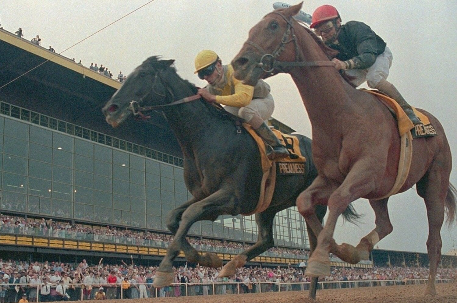 「もし、サンデーサイレンスがいなかったら…」最強種牡馬導入の立役者が語る秘話…なぜ米国の年度代表馬を購入できたのか「日本へ行けて本当によかった」＜Number Web＞ photograph by Getty Images