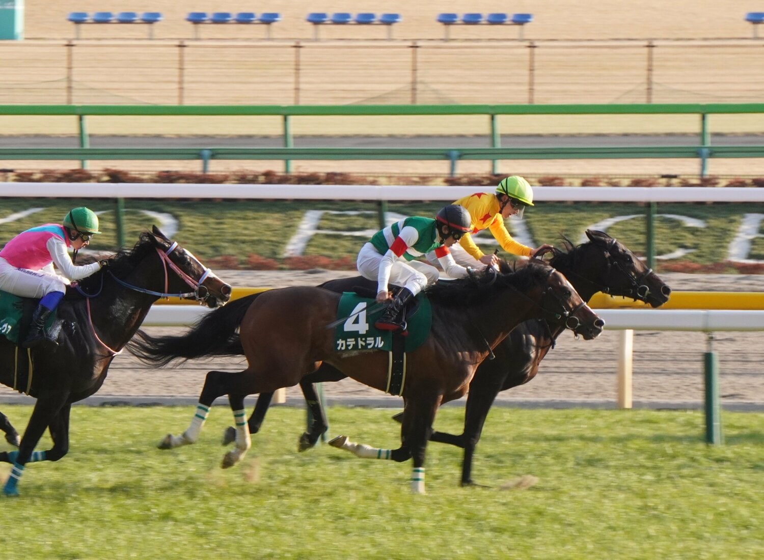 昨年の東京新聞杯では、5番人気ながら見事に優勝を果たした　©Satoshi Hiramatsu