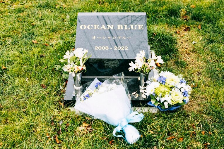 オーシャンブルーのお墓　©Kiichi Matsumoto