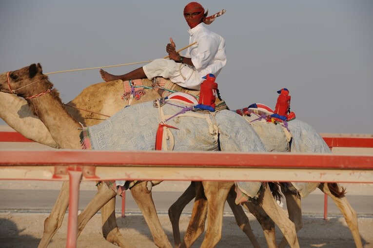 ラクダレース　©Bungeishunju