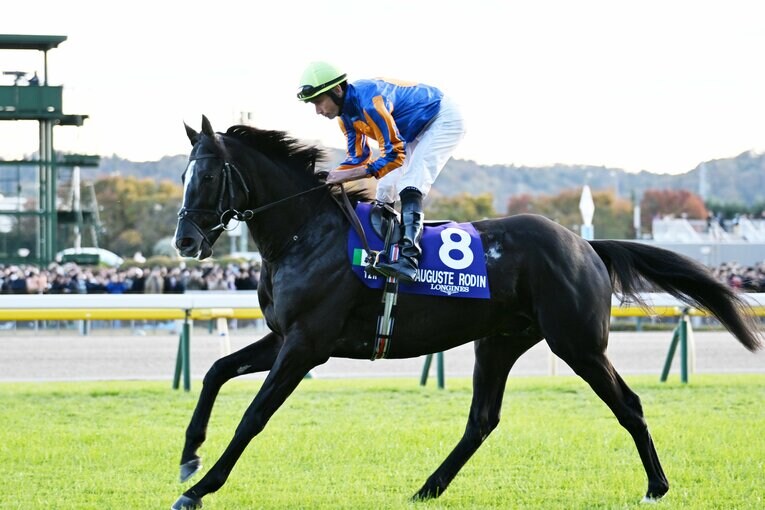 【5位　海外の大物スターホース来日】英愛ダービーを制したディープインパクト産駒のオーギュストロダン。ジャパンカップに参戦も、結果は8着だった　©Keiji Ishikawa