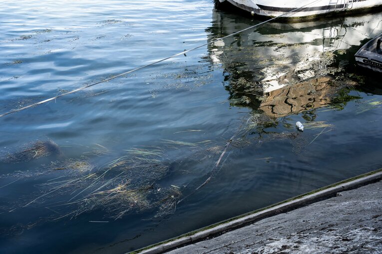 漂流物も多いセーヌ川　©Hans Lucas via AFP/JIJI PRESS