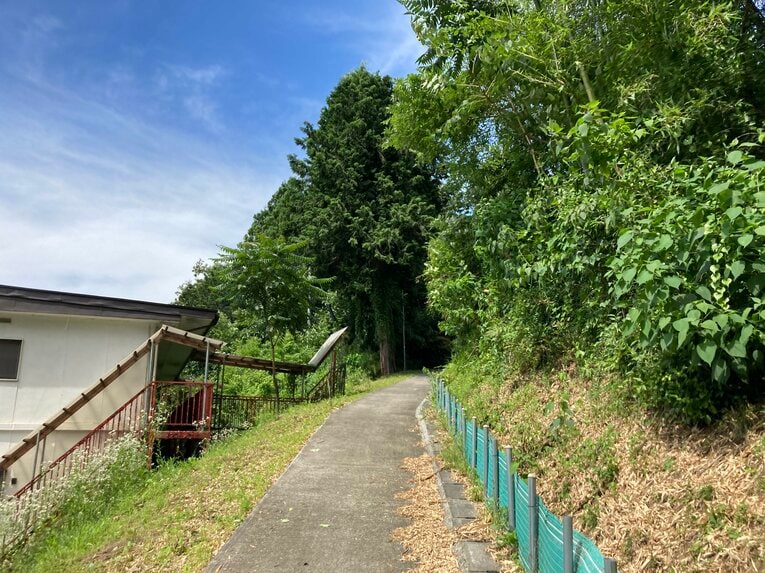 某地図アプリに従い、最寄りのバス停「阿津」で下車したが、大学広報ご担当によれば次の「寸沢嵐」が最寄りとのこと　©Number Web