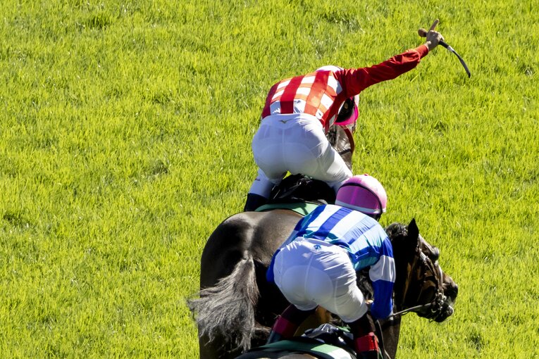 アイビスサマーダッシュを制したビリーバー ／ photograph by photostud