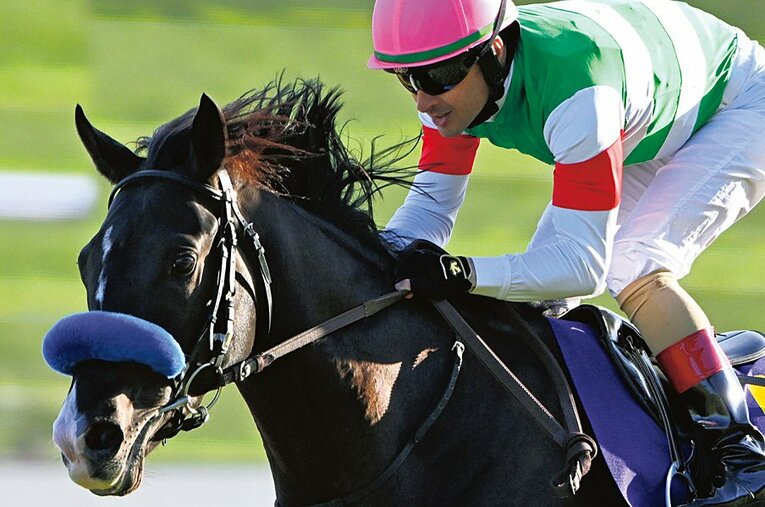 ドゥレッツァ ／ photograph by Keiji Ishikawa