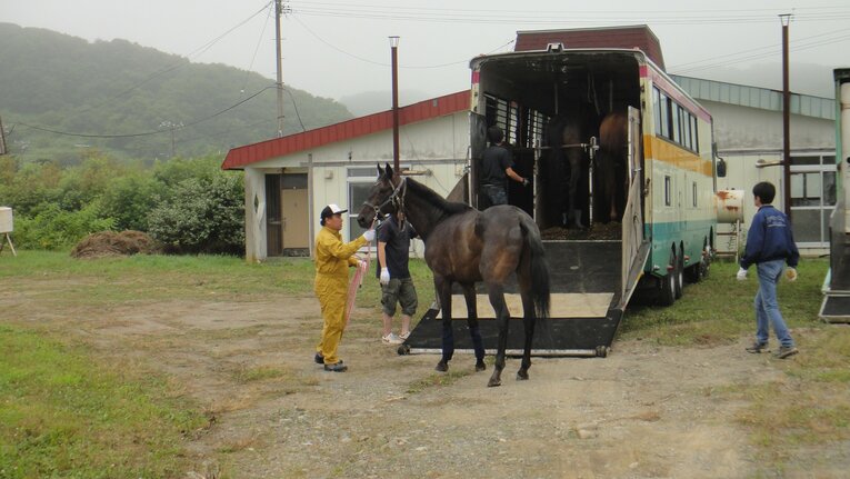 日高町に輸送されたメイショウアーム（2011年）