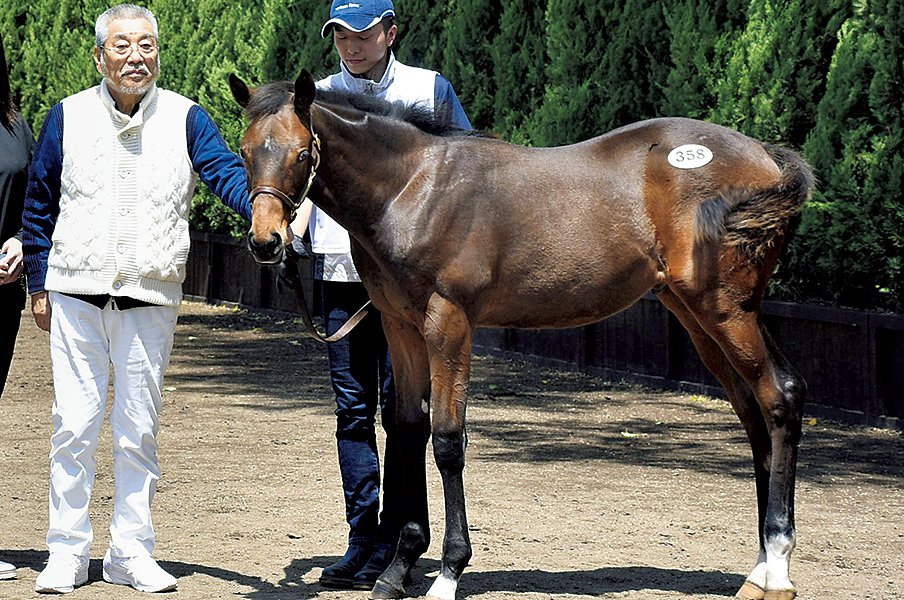 セレクトセールも新馬戦も桁違い。天井知らずのノーザングループ。~新馬戦8連勝の新記録も樹立~<Number Web> photograph by KYODO