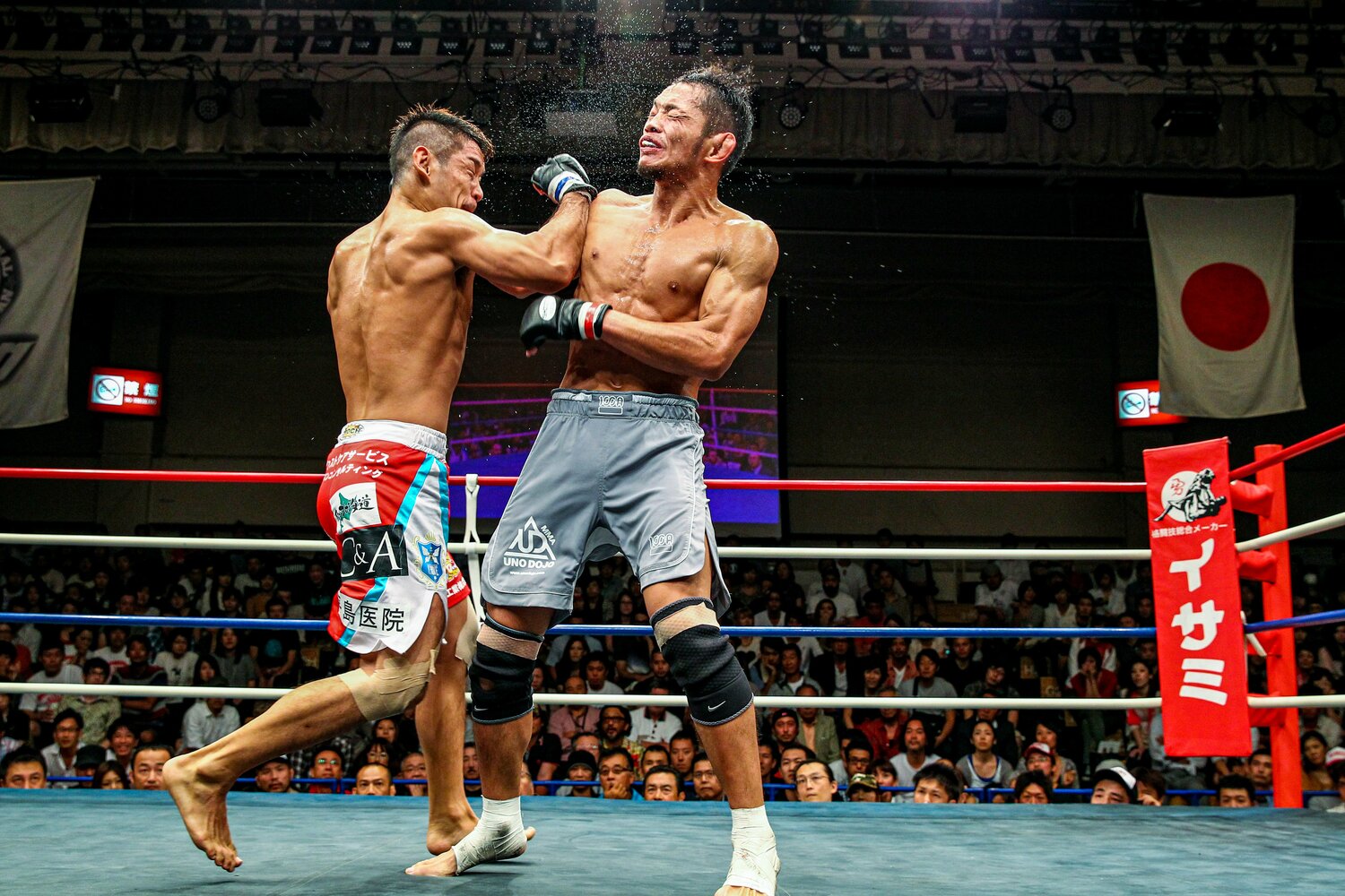 2012年9月、石渡は総合格闘技のパイオニア・宇野薫と修斗で対戦。3-0の判定勝ちを収めた　©Susumu Nagao