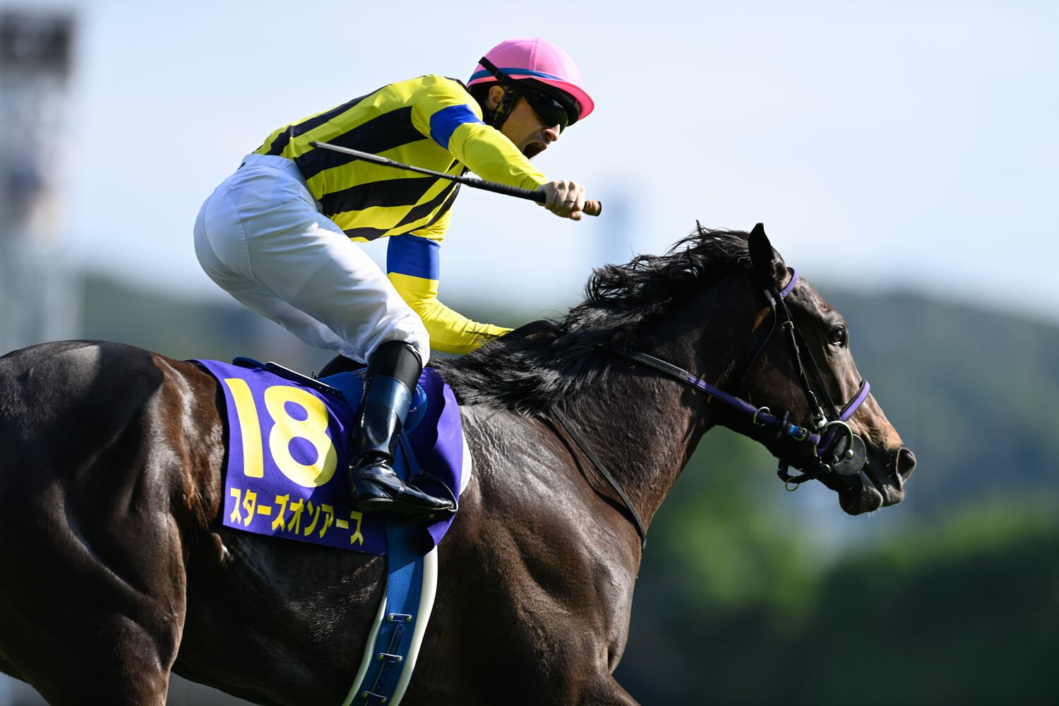 オークスを制した時のスターズオンアース