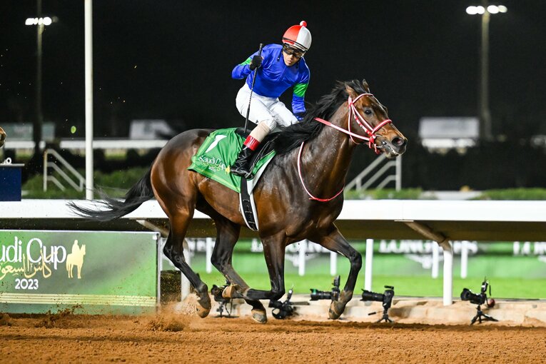 3位：パンサラッサ　18億4466万3500円　©Sipa USA/JIJI PRESS