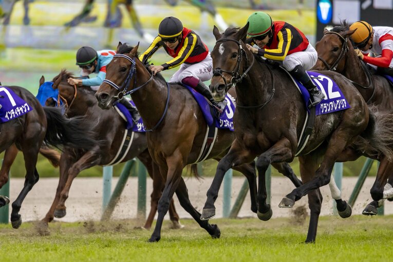 シュネルマイスターは前走マイルCSで2着。今回はルメールとのコンビとなる　©Photostud