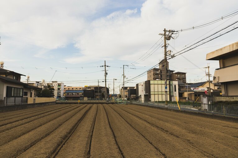 東花園駅のまわりにはポツポツと畑もある