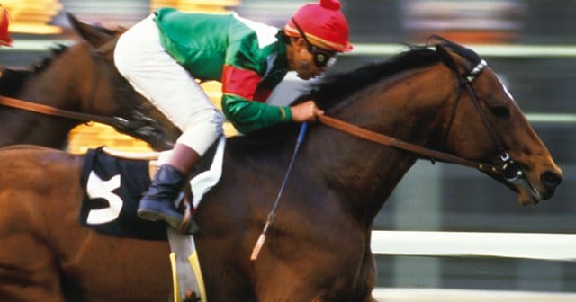 海を渡ったダービー馬たち「初の生中継もされたシンボリックな挑戦」