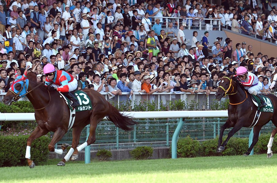 スプリンターズSは「女の戦い」に!中心はベルカントも、混戦は必至。<Number Web> photograph by NIKKAN SPORTS