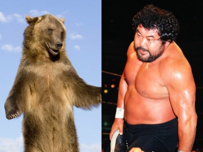 「俺は目に指を入れて…」クマと生身で対戦したマサ斎藤、藤原喜明らが味わった“恐怖体験”とは《プロレスラーvs熊》<Number Web> photograph by (左)Getty Images、(右)AFLO