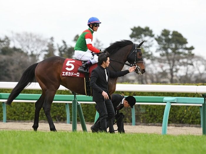 歩むは父オルフェーヴルと同じ道。エポカドーロは皐月賞の主役になるか?<Number Web> photograph by Keiji Ishikawa