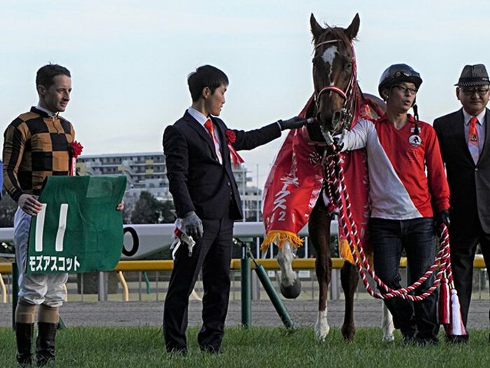 安田記念馬が初ダートで完勝。矢作師に導かれモズアスコット復活。＜Number Web＞ photograph by Satoshi Hiramatsu